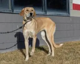 Max And Pickles thumbnail 3