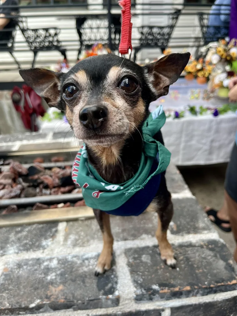 Giovanni thumbnail 4