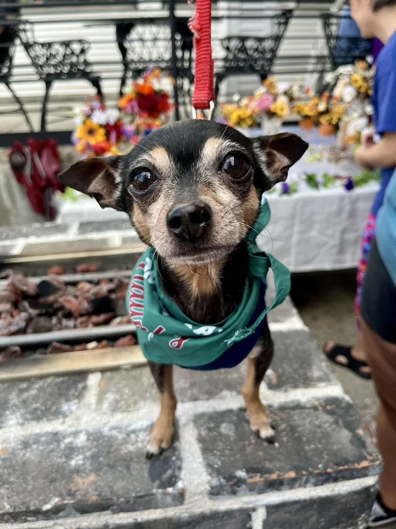 Giovanni thumbnail 5