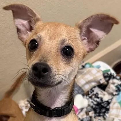 Dallas `dally` Winston thumbnail 2