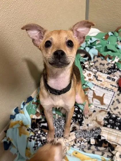 Dallas `dally` Winston thumbnail 3