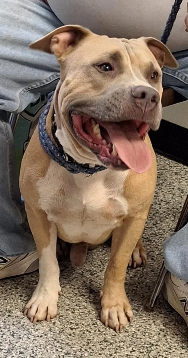Duke