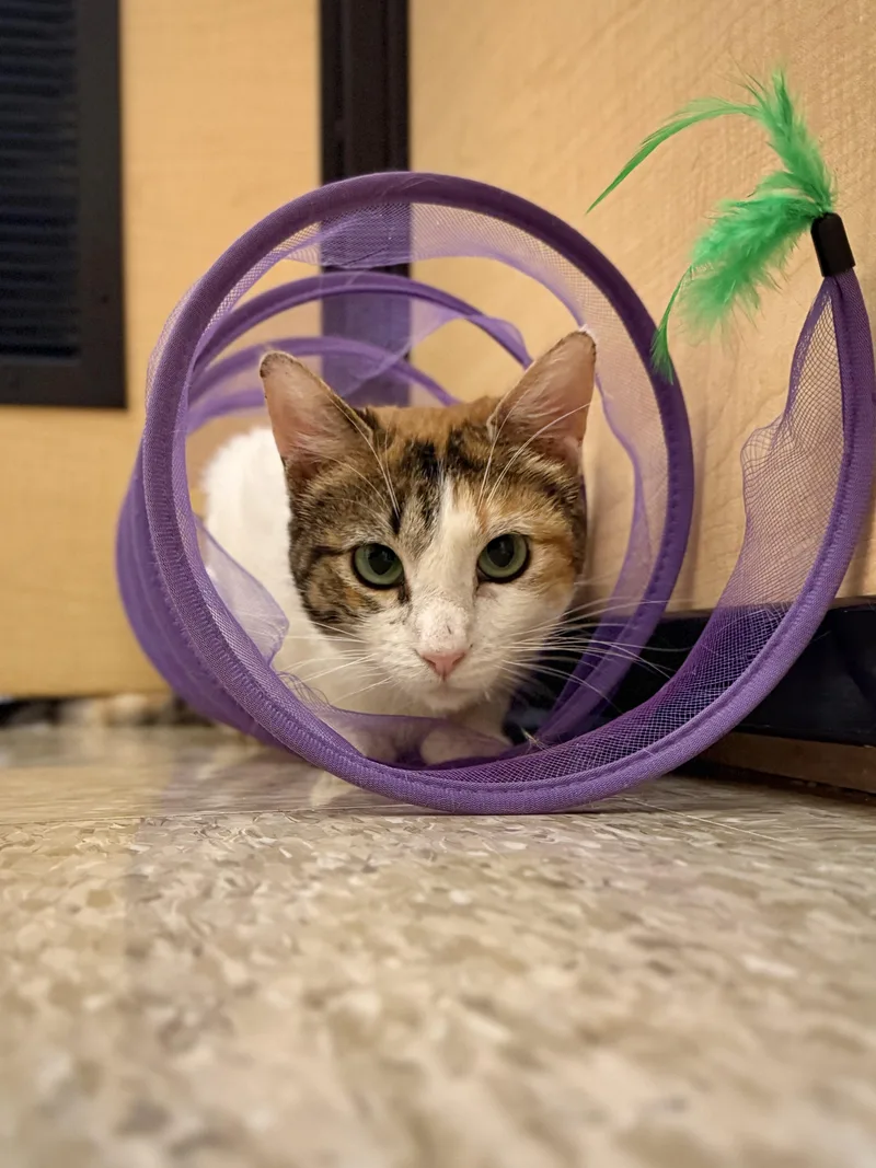 Stacy  Beautiful And thumbnail 2