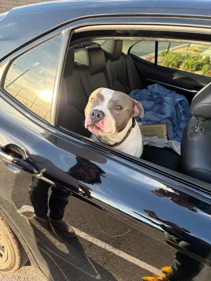 Clay Co. thumbnail 2