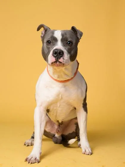 Clay Co. thumbnail 3