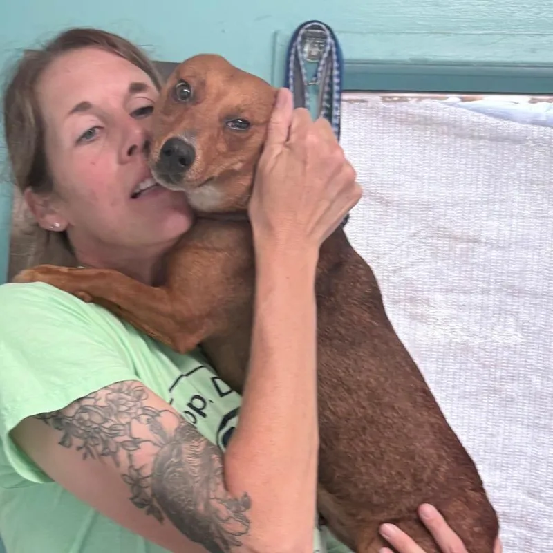 Roux thumbnail 5