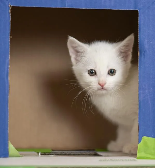 Two Dots thumbnail 3