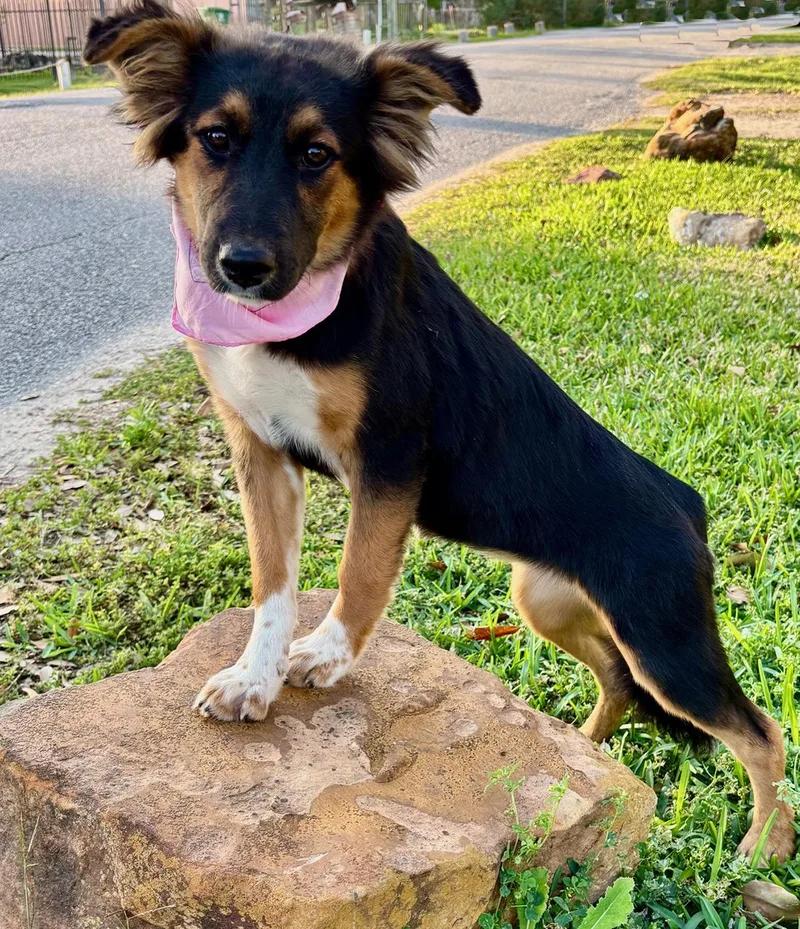 Nala  Sweet Girl! thumbnail 6