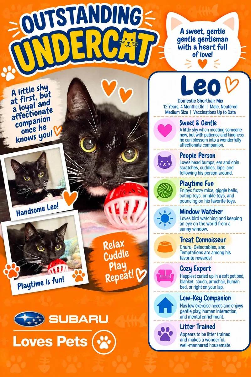 Leo thumbnail 3