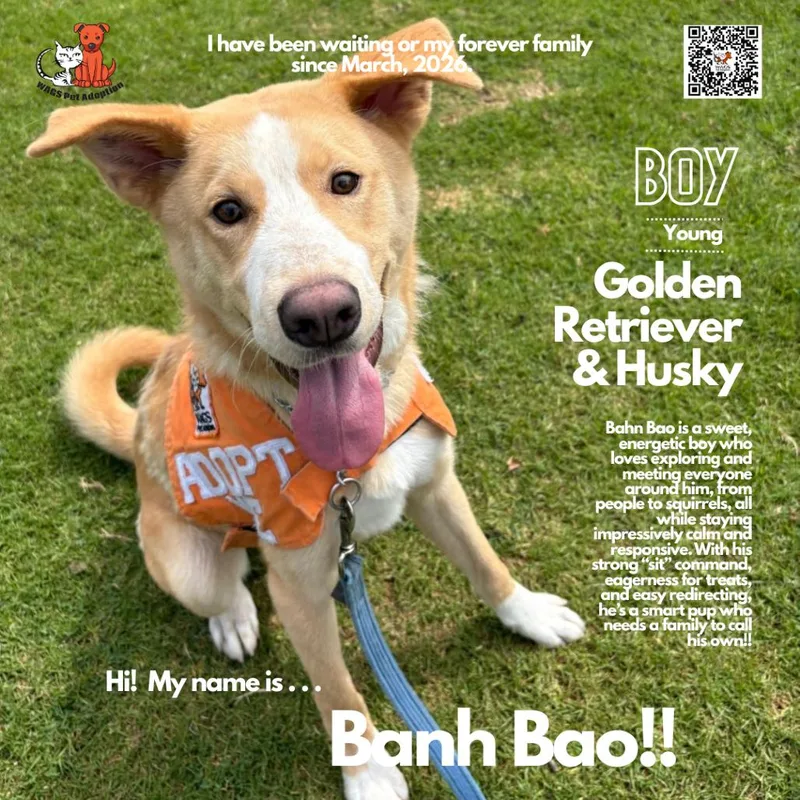 Banh Bao thumbnail 2