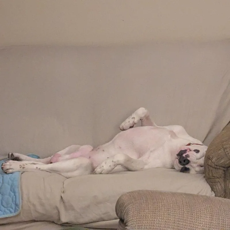 Finn thumbnail 5