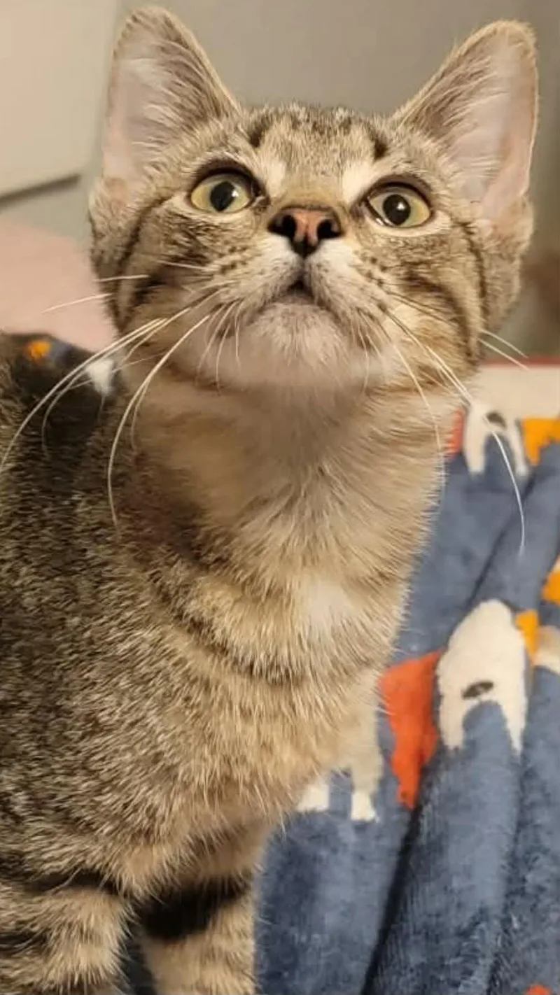 Rosie