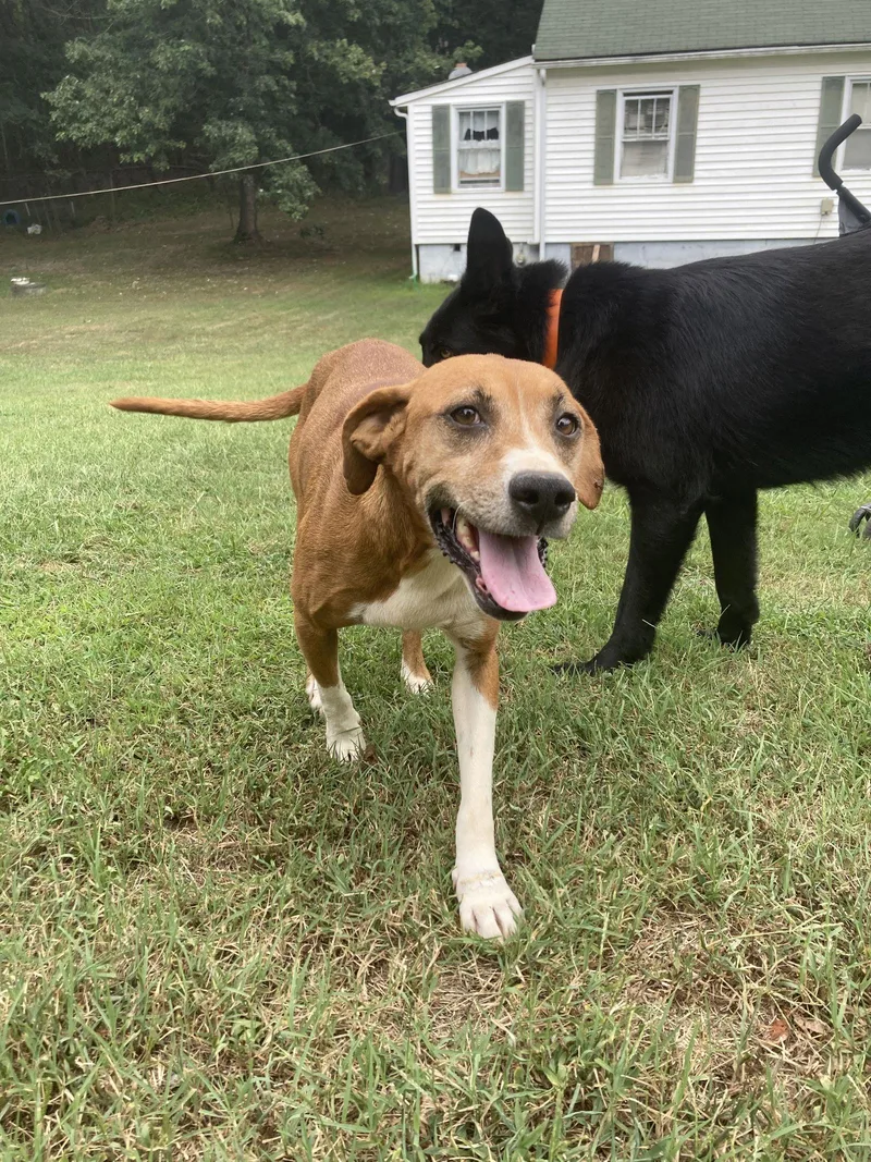 Sage Mae thumbnail 2