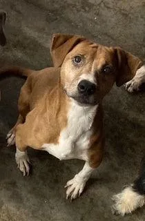 Sage Mae thumbnail 3