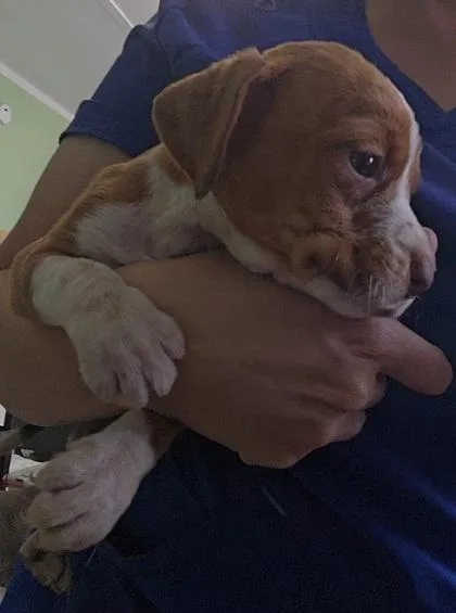 Julia thumbnail 3