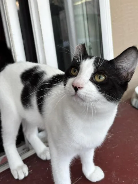 Tilly thumbnail 2