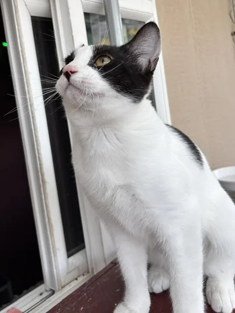 Tilly thumbnail 4