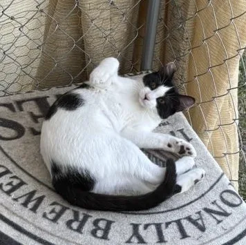 Tilly thumbnail 6