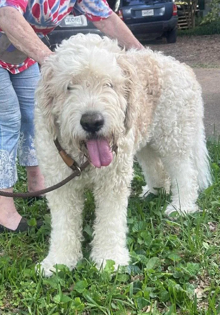 Tobie Mgo In Ms thumbnail 2