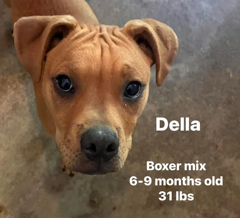 Della