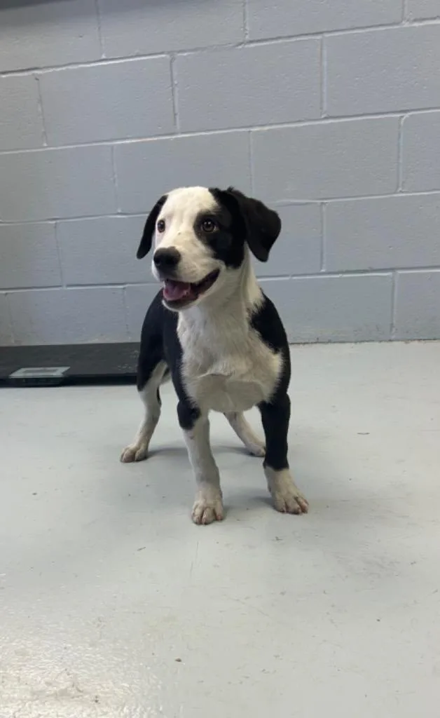 Snuggles thumbnail 2