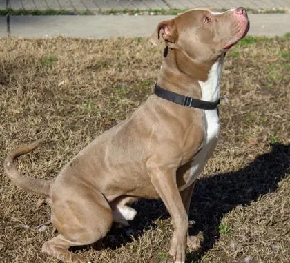 Cash Fka Quagmire thumbnail 2