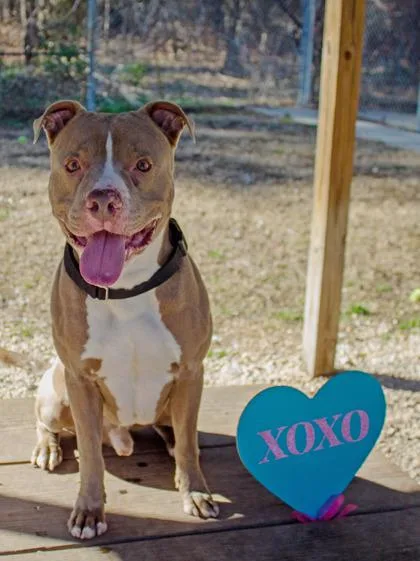 Cash Fka Quagmire thumbnail 4