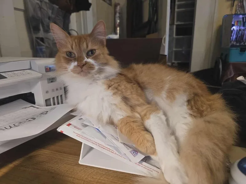 Sebastian
