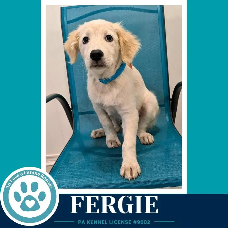 Fergie thumbnail 2