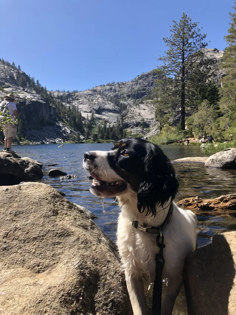 Meet Olive – Your thumbnail 3