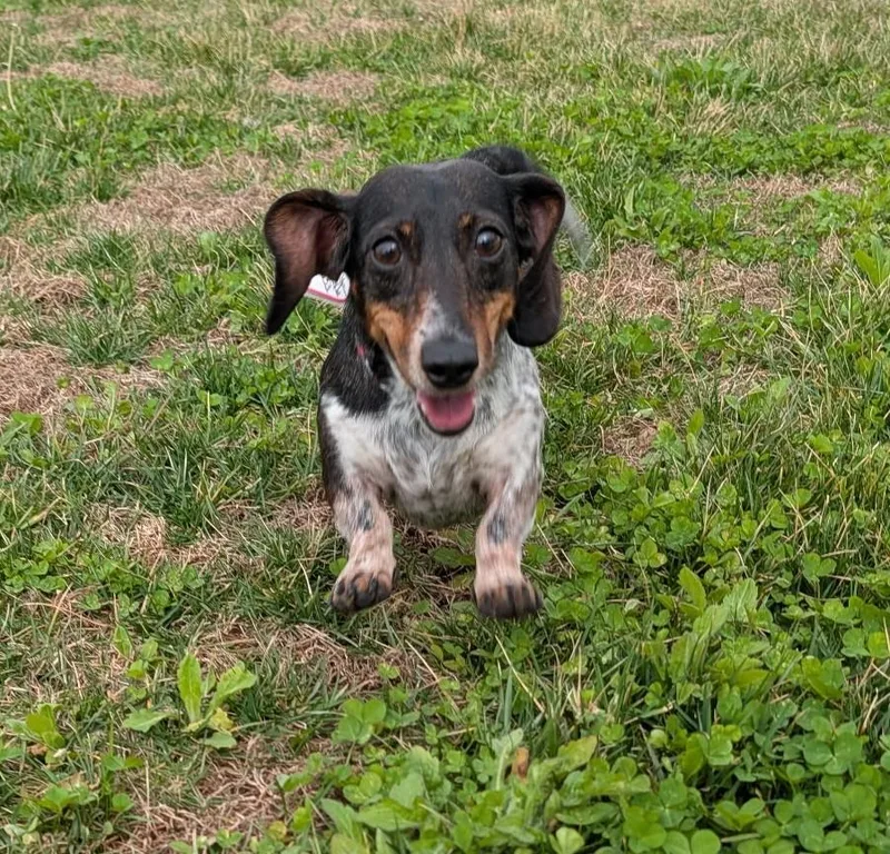 Rudy In Tn thumbnail 5