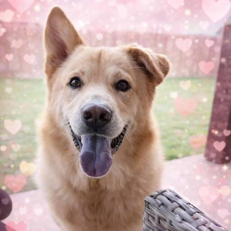 Luke thumbnail 2