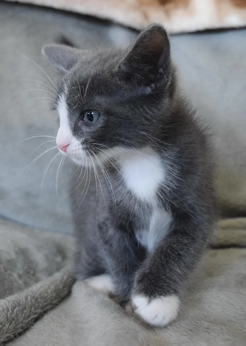 Bay thumbnail 5