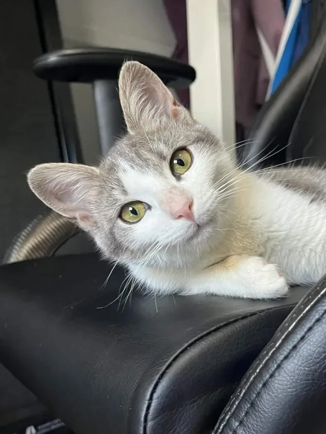 Catalie Portman thumbnail 2