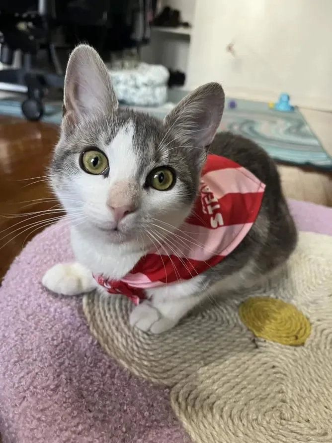 Catalie Portman thumbnail 5