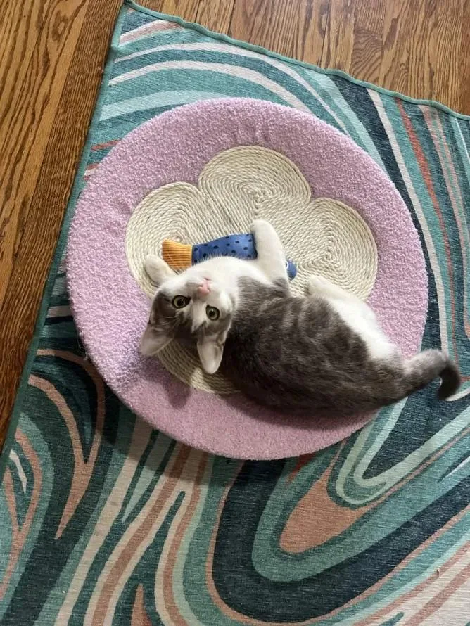 Catalie Portman thumbnail 6