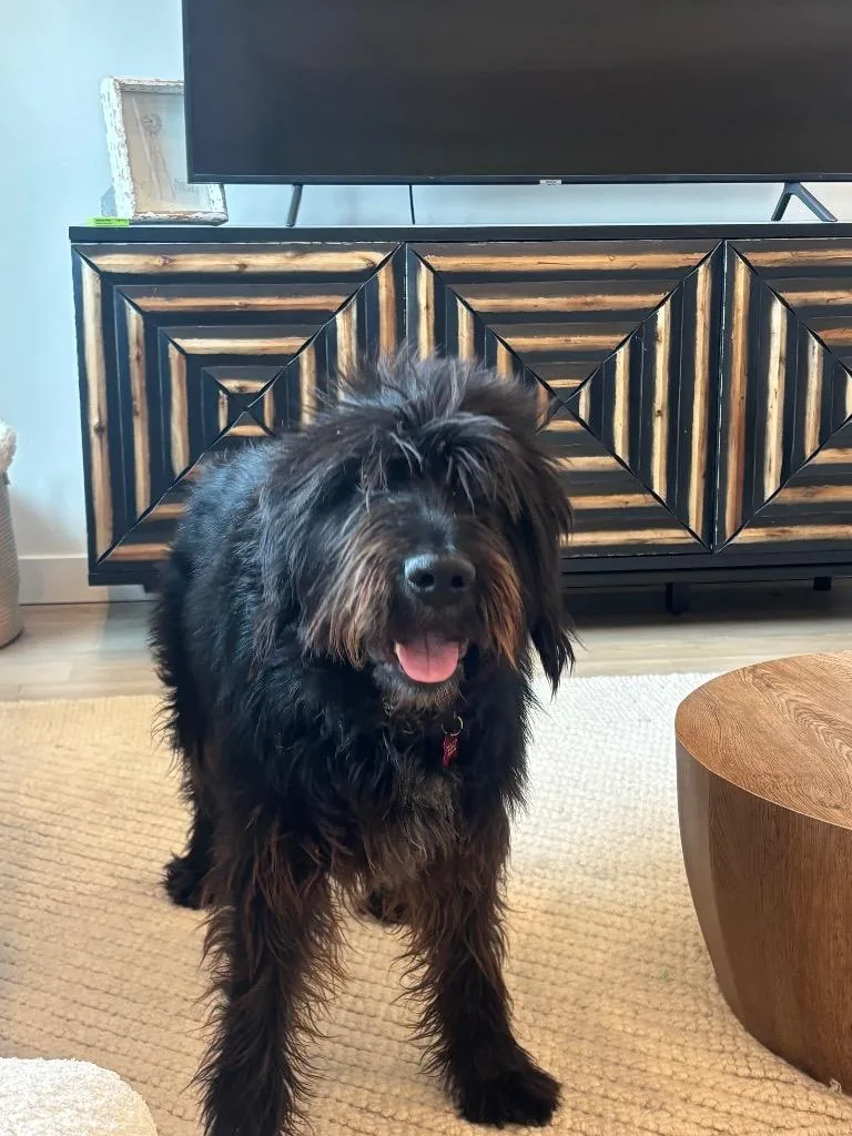Benny