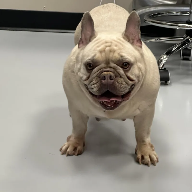 Betty thumbnail 2