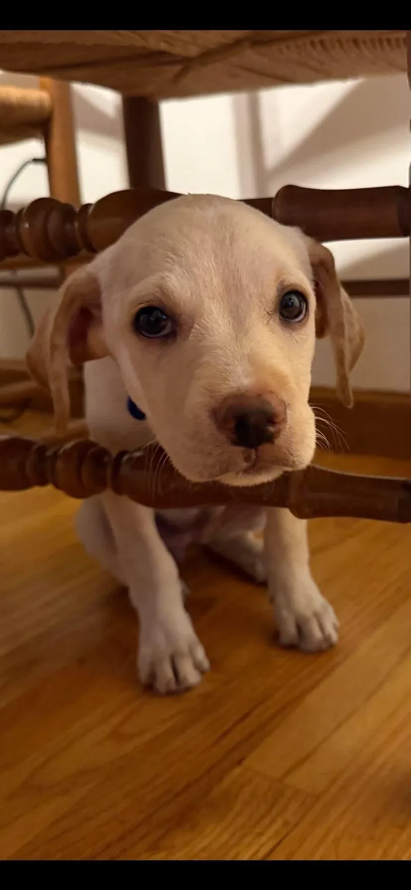 Tiny