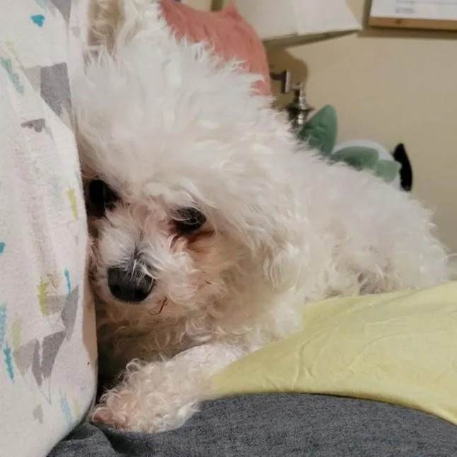 Daisy Mae thumbnail 2