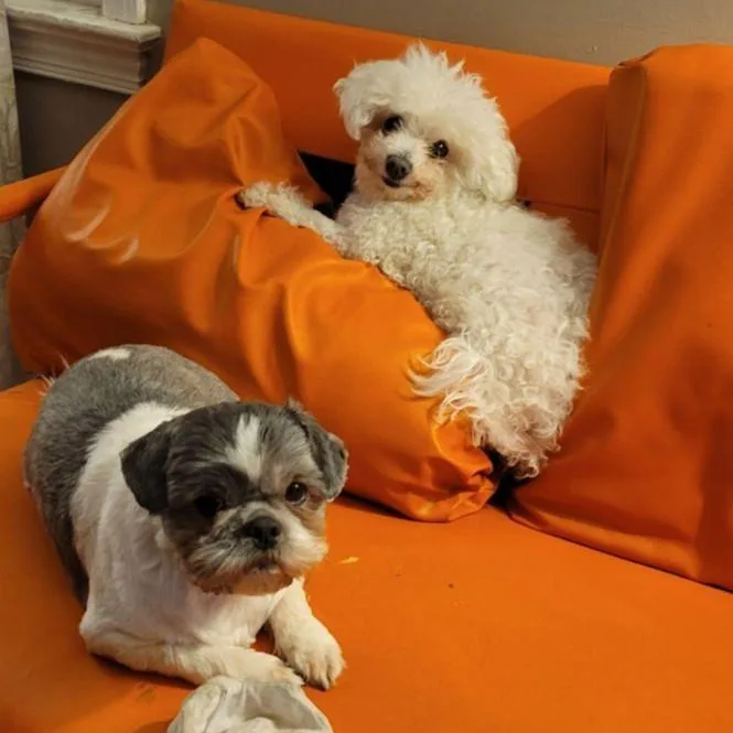 Daisy Mae thumbnail 5