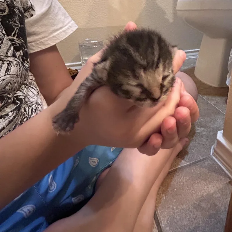Irresistable Emme thumbnail 2