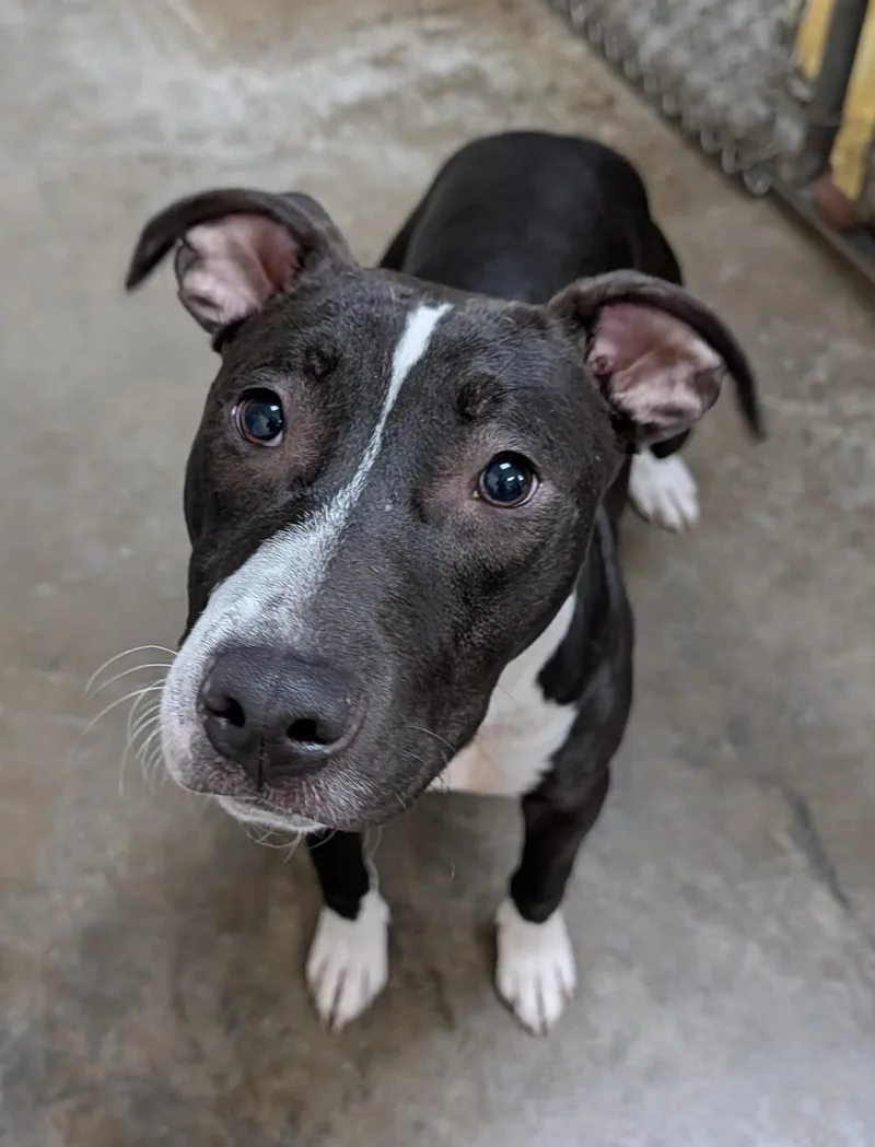Zeke