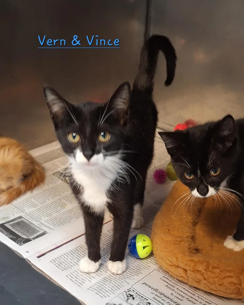 Valerie  Vern & thumbnail 6