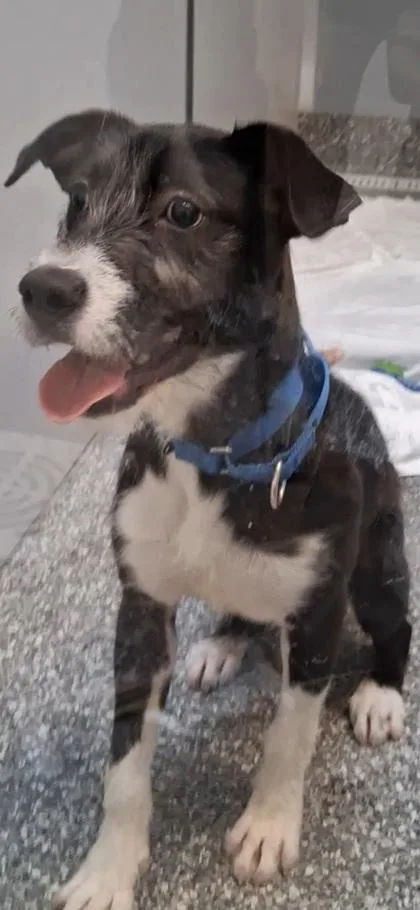 Bluetooth thumbnail 2