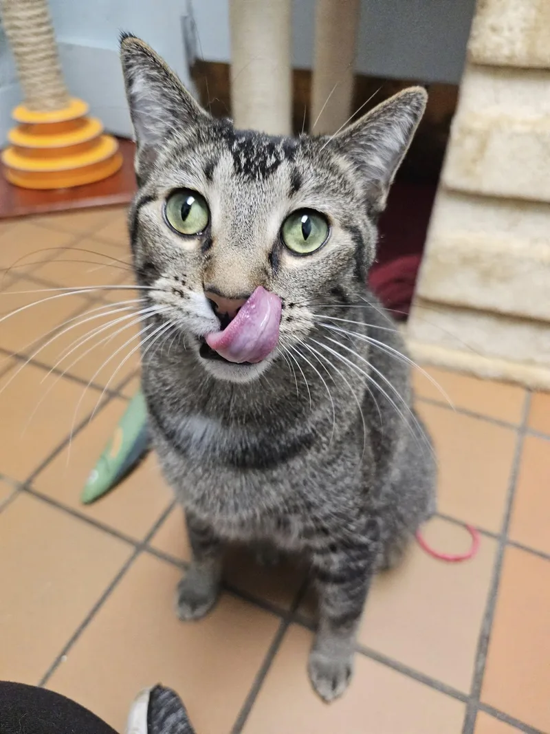 Tofu & Emily thumbnail 2