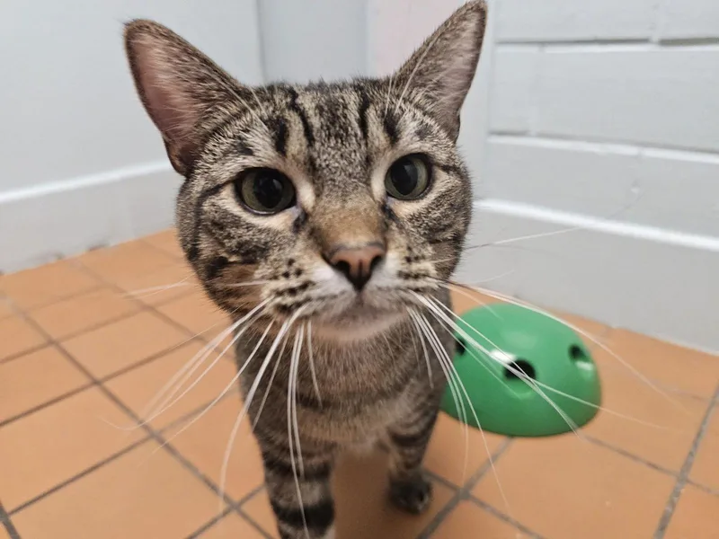 Tofu & Emily thumbnail 3