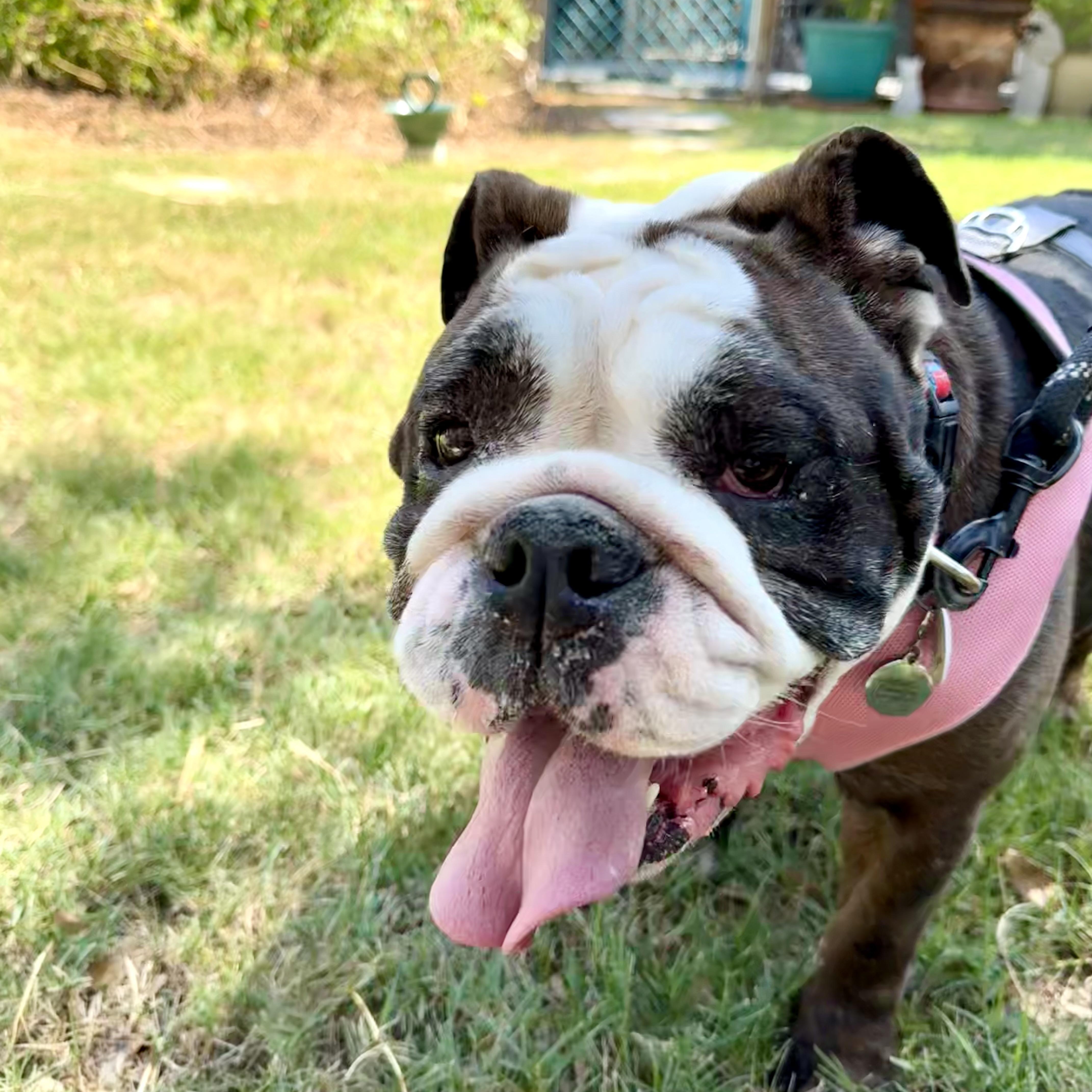 Penelope Is Looking For thumbnail 6