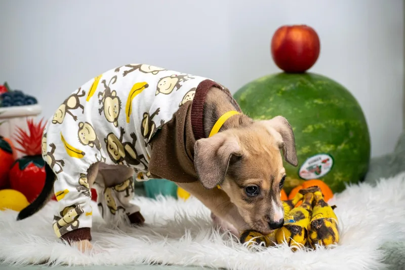 Banana thumbnail 3