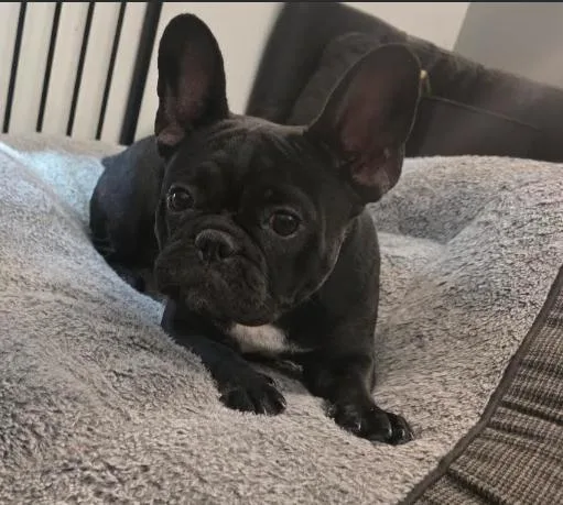 Lola thumbnail 2